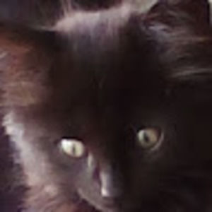 Meet your Posher, Unknown